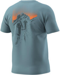 Dynafit Back Graphic Co T-Shirt M férfi póló L / kék