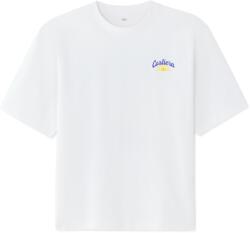 CELIO PECITRUS Alb, Mix XXL (1192570)