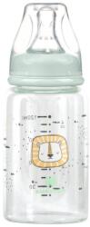 KikkaBoo Biberon din sticlă 120 ml Savanna Mint 31302020116