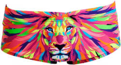 Funky Trunks pride power sidewinder trunks boys 26