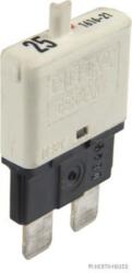 Herth+buss Elparts Automat siguranta HERTH+BUSS ELPARTS 50295905 (50295905) - fixbox
