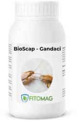 Bioscap Insecticid Bio Pulbere Diatomee (SiO2) Anti-Gandaci Bucatarie Canalizare Imprastiere Contact - Bucatarie, Depozite, Restaurante, Interior 1KG