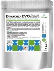 Bioscap Evo Insecticid Bio Granule Compusi Organoleptici 5% Anti-Gandaci Bucatarie Canalizare Formula Evo Persistenta Marita - Bucatarie, Depozite, Restaurante, Interior 200G