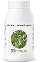 Bioscap Insecticid Bio Pulbere Diatomee (SiO2) Anti-Musculita Alba Pulverizare Foliara - Deshidratare Mecanica Exoschelet, Gradina, Solar, Sera 1KG