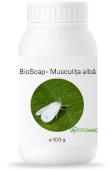 Bioscap Insecticid Bio Pulbere Diatomee (SiO2) Anti-Musculita Alba Pulverizare Foliara - Deshidratare Mecanica Exoschelet, Gradina, Solar, Sera 100G
