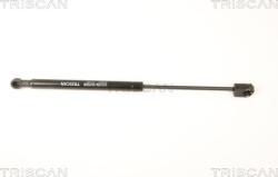 Triscan 8710 25247 - Amortizor, luneta - AMORTIZOR. LUNETA - compatibil Renault - Triscan-8710 25247 (TRISCAN871025247)