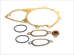 DT Spare Parts 4.90927 - Set reparatie, pompa apa - DT Spare Parts-4.90927 (DTSPAREPARTS490927)