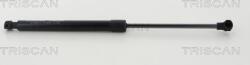 Triscan 8710 25113 - AMORTIZOR HAION-CAPOTA - compatibil Audi. Renault - Triscan-8710 25113 (TRISCAN871025113)