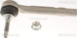 Triscan 8500 81100 - CAP DE BARA - compatibil Tesla - Triscan-8500 81100 (TRISCAN850081100)