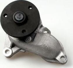 Hepu P7809 - POMPA APA - Hepu-P7809 (HEPUP7809)
