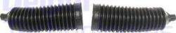 Delphi TBR4048 - ANSAMBLU BURDUF. DIRECTIE - compatibil Ford - Delphi-TBR4048 (DELPHITBR4048)