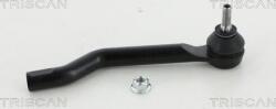 Triscan CAP DE BARA - compatibil Nissan - Triscan-8500 14161 (TRISCAN850014161)
