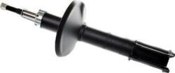 MTR Shock Absorber - compatibil Dacia. Renault - MTR-12109705 (MTR12109705)
