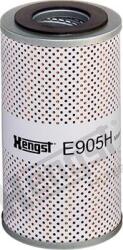Hengst Filter Filtru ulei - Hengst Filter-E905H D441 (HENGSTFILTERE905HD441)
