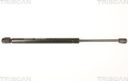 Triscan 8710 80207 - Amortizor, luneta - Triscan-8710 80207 (TRISCAN871080207)