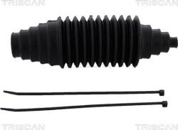 Triscan 8500 1 - Ansamblu burduf, directie - Triscan-8500 1 (TRISCAN85001)