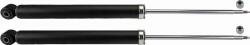 TRW JGT244T - Amortizor set complet spate - stanga / dreapta - FORD FOCUS I 1.4 - 2.0 10.98 - 03.05 - TRW-JGT244T (TRWJGT244T)