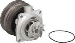 SKF VKPC 82441 - POMPA APA - compatibil Fiat - SKF-VKPC 82441 (SKFVKPC82441)