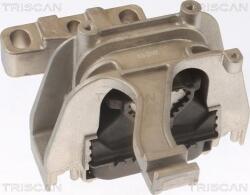 Triscan 8505 29117 - SUPORT MOTOR - compatibil Audi. Seat. Vw. Skoda - Triscan-8505 29117 (TRISCAN850529117)