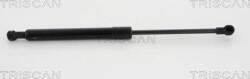 Triscan 8710 11124 - AMORTIZOR CAPOTA - compatibil Bmw - Triscan-8710 11124 (TRISCAN871011124)