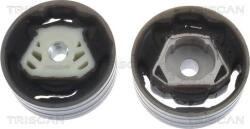 Triscan 8505 29137 - SUPORT MOTOR - compatibil Audi. Vw. Seat. Skoda - Triscan-8505 29137 (TRISCAN850529137)