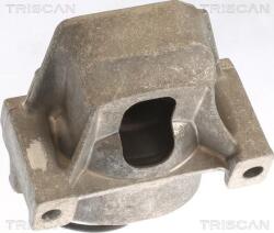 Triscan 8505 29196 - SUPORT MOTOR - compatibil Audi. Porsche - Triscan-8505 29196 (TRISCAN850529196)