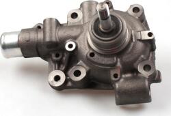 Hepu P1161 - POMPA APA - compatibil Fiat - Hepu-P1161 (HEPUP1161)