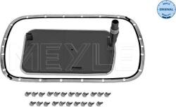 Meyle 314 137 0003/S - Filtru hidraulic, cutie de viteze automata - Filtru ulei cutie viteze BMW 3 E46. 5 E39. X3 E83 1.6 - 3.0D 12.97 - 07.06 - Meyle-314 137 0003/S (MEYLE3141370003S)