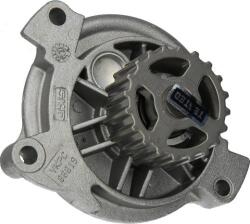 SKF VKPC 86619 - POMPA APA - compatibil Audi. Vw - SKF-VKPC 86619 (SKFVKPC86619)