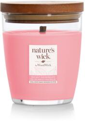 WoodWick Salt watermelon 284 g