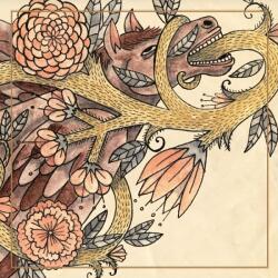 Horse Feathers - Words Are Dead (Coloured) (LP) (0759656084819)