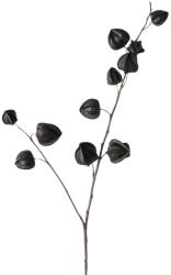  Creanga artificiala Physalis, negru (IN-4066076521197)