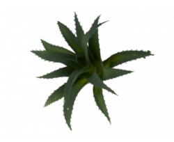  Planta artificiala suculenta, 14x12 cm (IN-5999124516328)