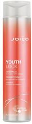 Joico Youthlock Sampon cu Colagen pentru Par Matur 300ml