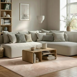 PASSUA Szőnyeg 200x400 cm rövid sörtékkel Plush bézs (5906909259493)
