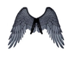 GoDan Aripi inger negru marime universala, 95 x 75 cm GD1199 -Accesorii Costume Adulți (GD1199)