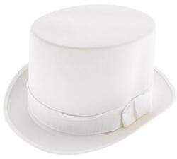 GoDan Palarie Party Cilindrica alb simplu 30 cm GD771 -Accesorii Costume Adulți (GD771)