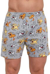 Cornette Bokserki męskie Cornette Classic 001/197 szary: 3XL (34339 3XL)