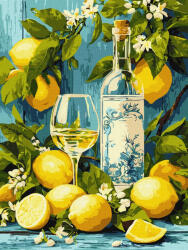 Ideyka Set pictura pe numere, cu sasiu, Vin alb si lamai, 30x40 cm (KHO5769)