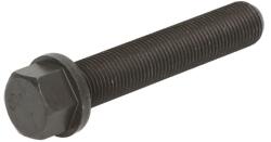 GERMANY Surub Biela Surubul Tijei de Conectare Fendt 309 Vario, 310 Vario, 311 Vario, 312 Vario, 818 Vario Tms, 820 Vario (040311201200)