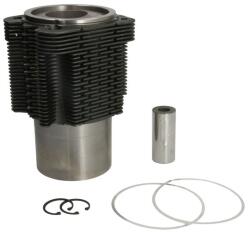 KOLBENSCHMIDT Set Piston si Camasa 102mm Std, 35x80 Fendt 203 K Farmer, 203 P Farmer, 203 P/Iii Farmer (93741960)