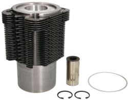 KOLBENSCHMIDT Set Piston si Camasa 102mm Std, 40x80 Fendt 380 Gta; Abg 186, 213; Ag Chem R40, R42, R50, R52 (90669961)