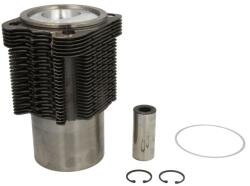 KOLBENSCHMIDT Set Piston si Camasa 100mm Std Fendt 2 D Farmer, 200 K Farmer, 200 S Farmer, 200 Sa Farmer (91395962)