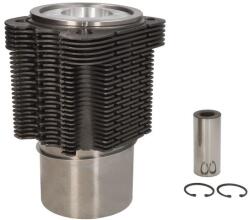 KOLBENSCHMIDT Set Piston si Camasa Std Fendt 2 D Farmer, 200 K Farmer, 200 S Farmer, 200 Sa Farmer, 200 V Farmer (92815961)