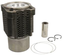KOLBENSCHMIDT Set Piston si Camasa Std Fendt 206 F Farmer, 206 Fa Farmer, 206 S Farmer, 206 V Farmer (99701960)
