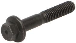 FPT Surub Bolt M6x1/35mm Carraro Agricube, Ls; Case Ih 4000, 600, Af, Maxxum; Case-Steyr 4000; Ls Plus; Massey Ferguson 7000 (4895483-FPT)