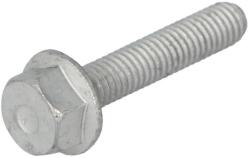 FPT Surub Chiulasa Chiuloasa Case; New Holland (16586025-FPT)