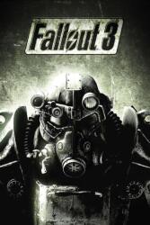 Bethesda Fallout 3 Game of the Year Edtion + Fallout New Vegas Ultimate Edition (PC) Jocuri PC
