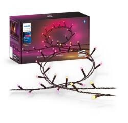 Philips Hue Ghirlanda inteligenta LED RGB Philips Hue Festavia, 250 LED-uri , (000008720169246621)