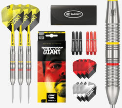 Target Darts szett TARGET steel 22g brass Gabriel Clemens gravírozott
